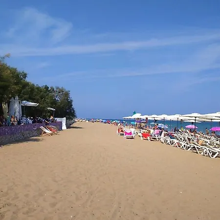 Daire Albadomus Denia